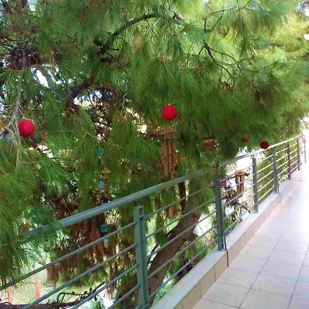 Modern In Near The Tei Technological Educational Institute Patras